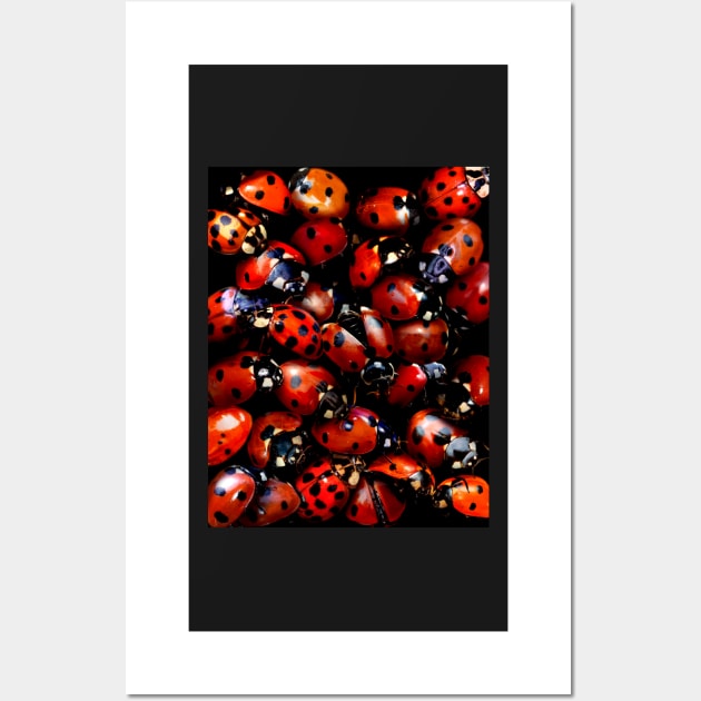 Ladybugs Wall Art by MaxencePierrard